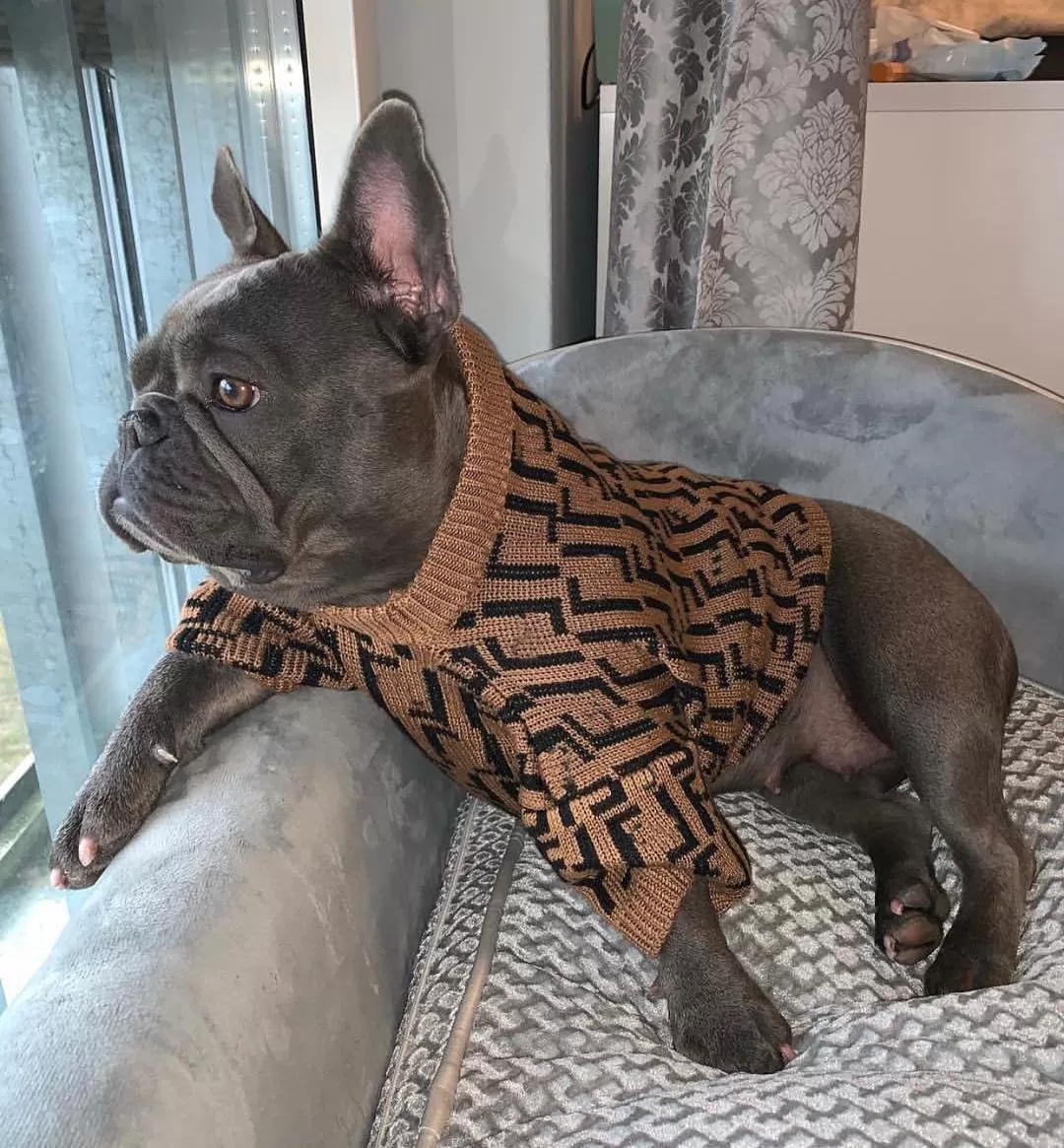 Brown French Bulldog Sweater