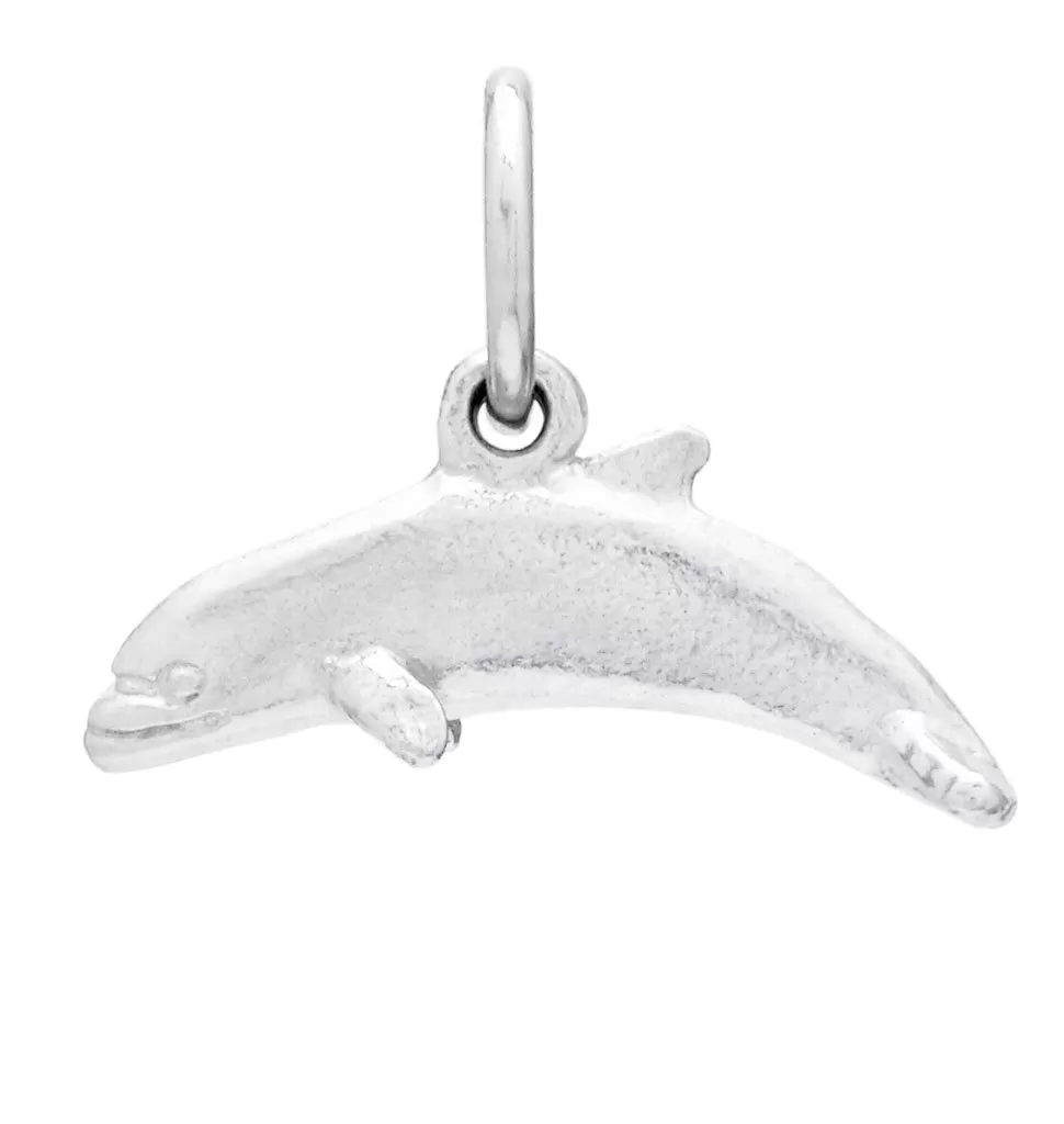 Flat Dolphin Mini Charm