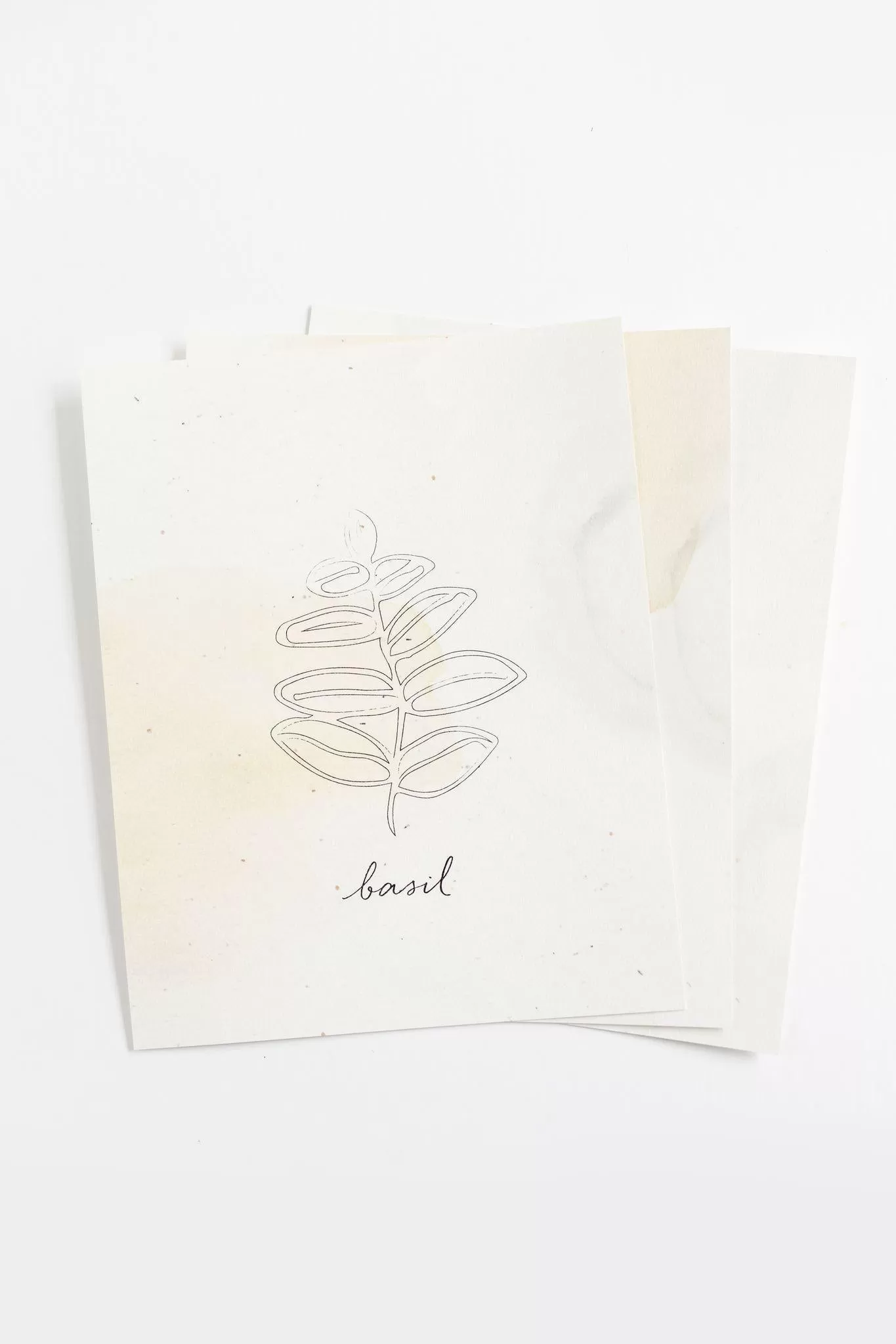 Herb Prints | Set of 3