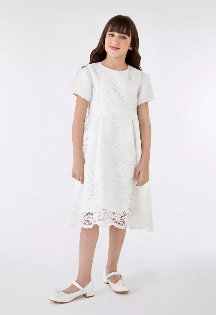 Lace Mesh Ruffle Sleeve Dress