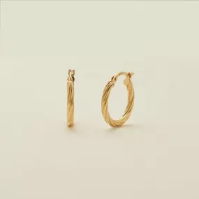 Twisted Hoop Earrings